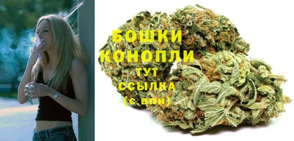 индика Карпинск